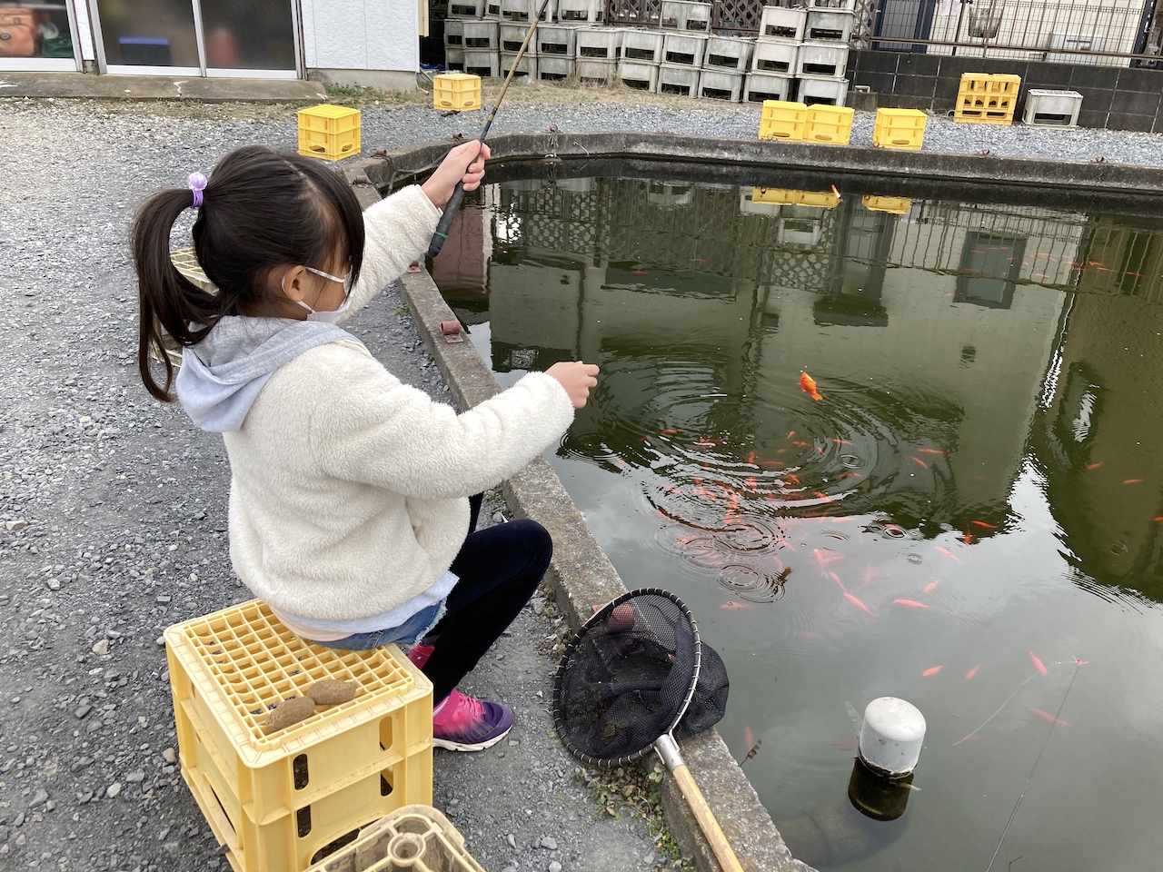 親子でできる外遊びのススメ【釣り堀に行ってみる】